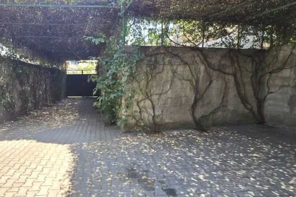 Shtepi me qera Vila Luksoze ne Tirane, 5+1, Mobilimi Pjeserisht e mobiluar, Pagesa 1,000  Euro.