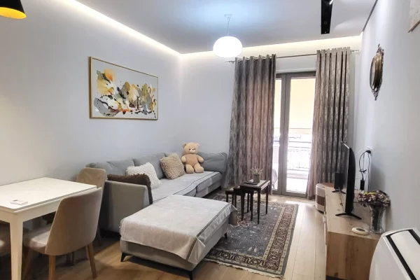 Apartment for sale in Tirana 1+1, Furnished
