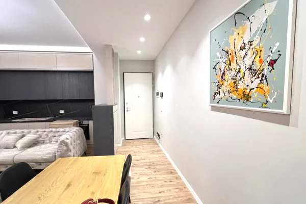 Apartment for rent in Tirana 1+1, Furnished