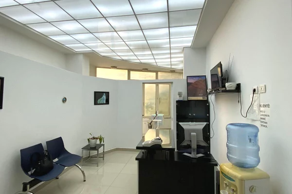 Business Property for Rent 1+1 in Tirana - 1,200 Euro