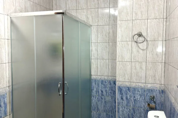 Shtepi me qera Apartament ne Tirane, 1+1, Mobilimi E mobiluar, Pagesa 600  Euro.