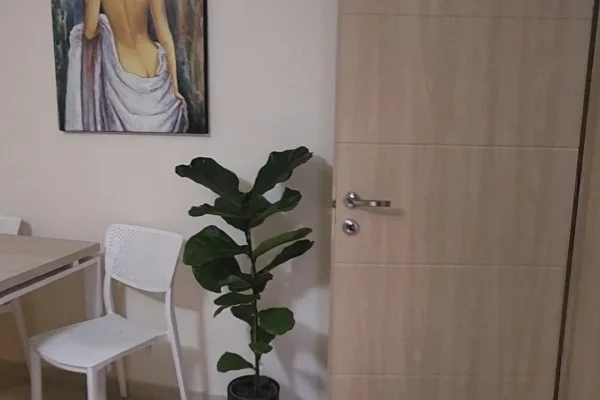 Shtepi ne shitje Apartament ne Tirane, 1+1, Mobilimi E mobiluar, Pagesa 125,000  Euro.