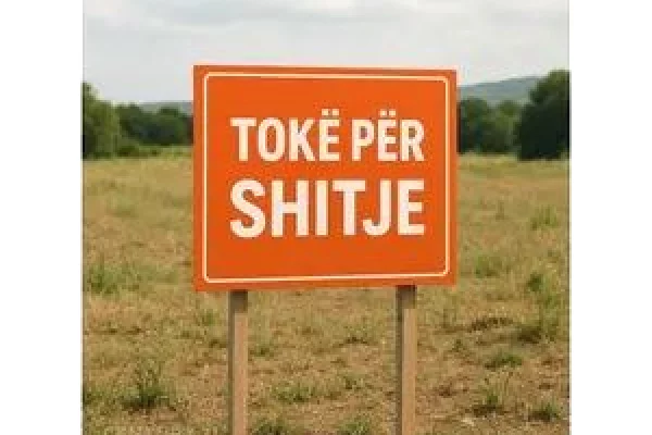 Truall ose Toke ne Tirane - 372,000 Euro