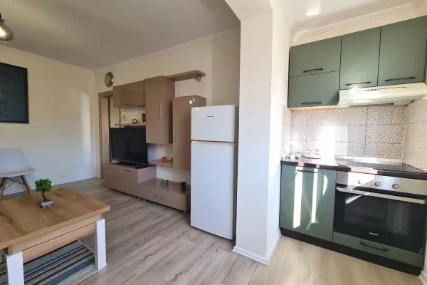 Apartment for sale in Tirana 1+1, Furnished