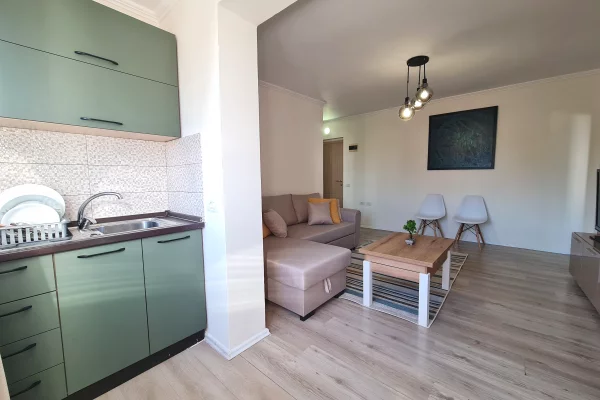 Apartment for sale in Tirana 1+1, Furnished