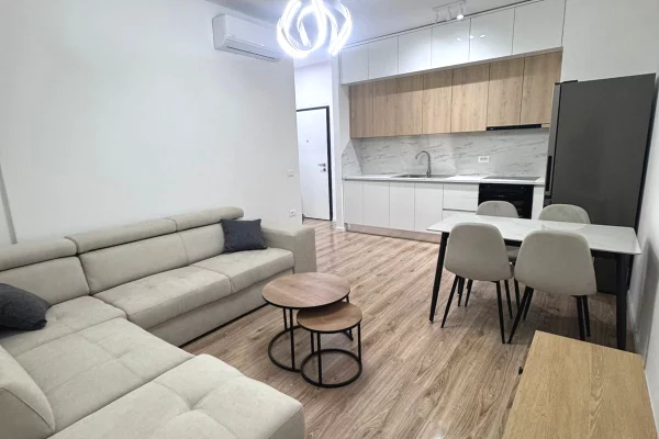 Shtepi me qera 2+1 ne Tirane - 53,000 Leke