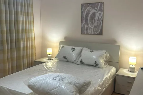 Shtepi me qera 2+1 ne Tirane - 55,000 Leke