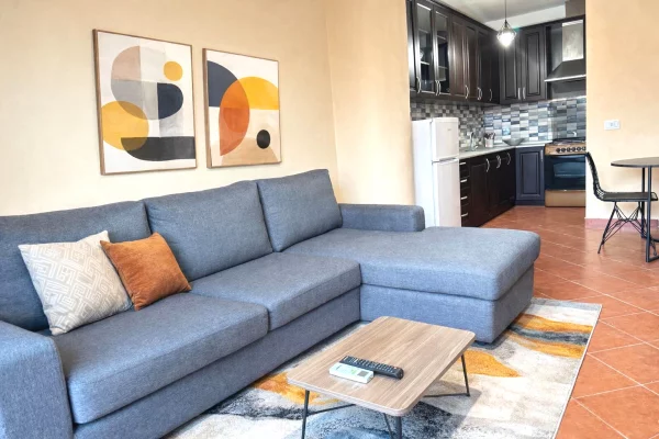 House for Rent 1+1 in Tirana - 55,000 Leke