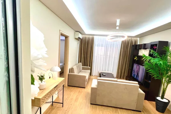 House for Rent 1+1 in Tirana - 55,000 Leke