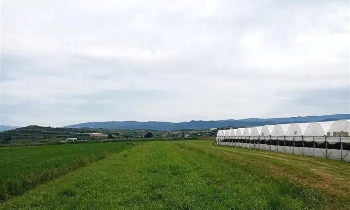 SHITET TOKA KUCOVE (KOZARE) - 3700 m2