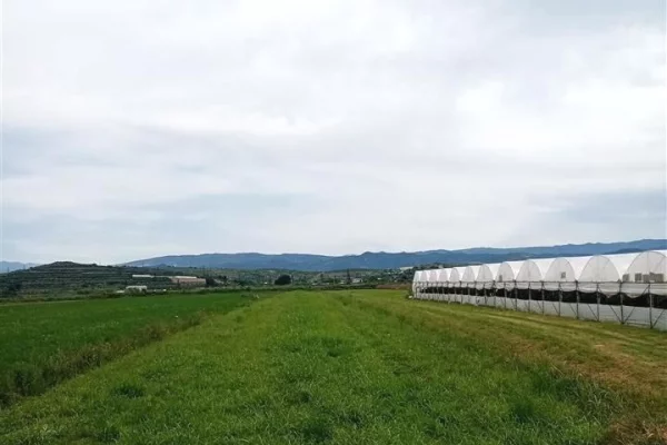 Truall ose Toke  ne Berat - 1,500,000 Leke