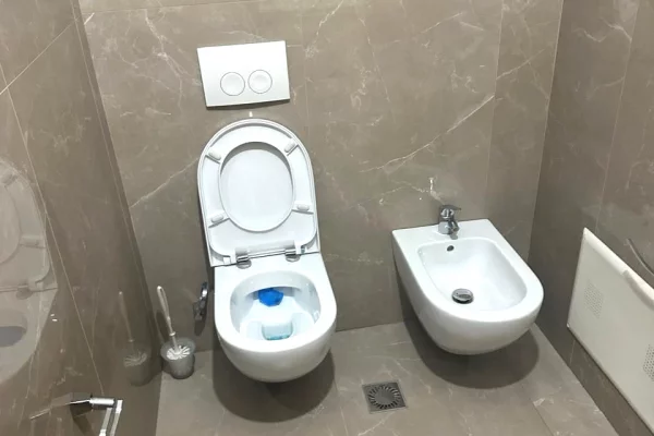 Shtepi me qera Apartament ne Tirane, 2+1, Mobilimi E mobiluar, Pagesa 650  Euro.