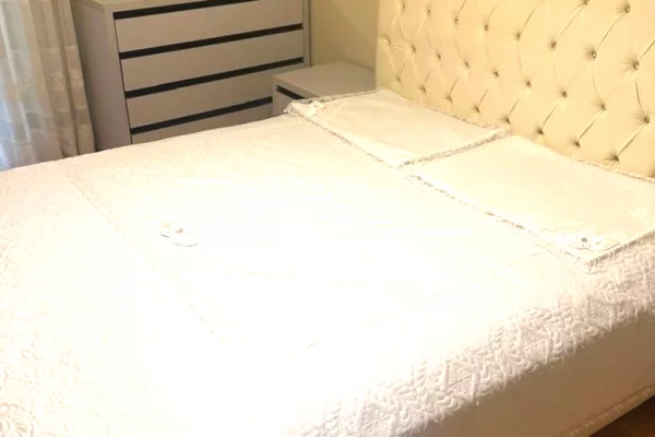 Shtepi me qera Apartament ne Tirane, 2+1, Mobilimi E mobiluar, Pagesa 650  Euro.