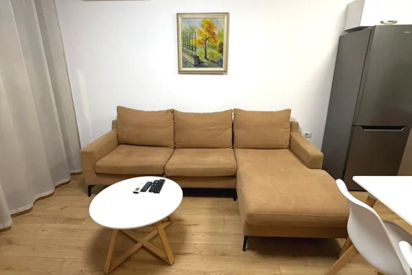 Shtepi me qera Apartament ne Tirane, 1+1, Mobilimi E mobiluar, Pagesa 700  Euro.