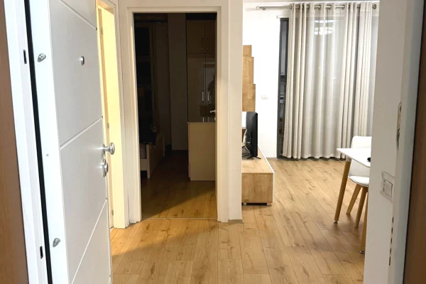 Shtepi me qera Apartament ne Tirane, 1+1, Mobilimi E mobiluar, Pagesa 700  Euro.
