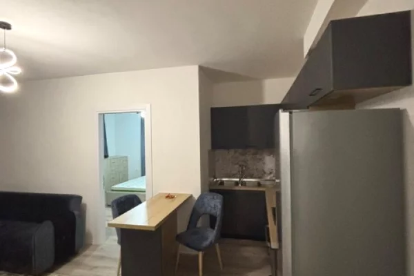Shtepi me qera Apartament ne Tirane, 1+1, Mobilimi E mobiluar, Pagesa 450  Euro.
