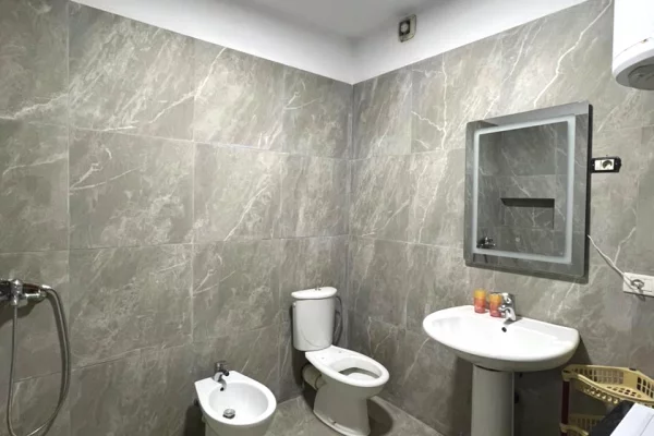 Shtepi me qera Apartament ne Tirane, 1+1, Mobilimi E mobiluar, Pagesa 550  Euro.