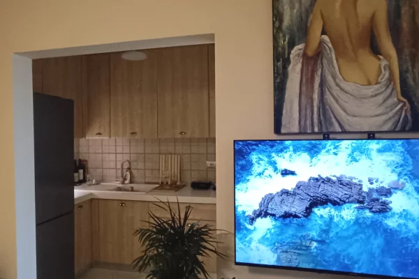 Shtepi ne shitje Apartament ne Tirane, 1+1, Mobilimi E mobiluar, Pagesa 125,000  Euro.