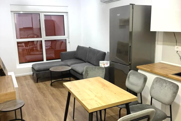 Shtepi me qera 1+1 ne Tirane - 400 Euro