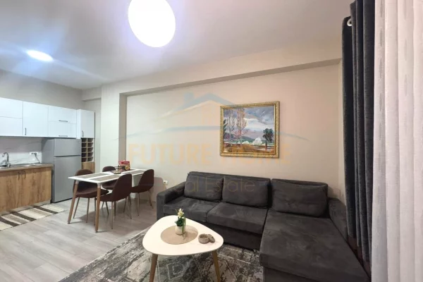Apartment for rent in Tirana 1+1, Furnished