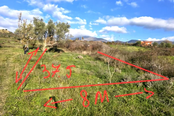 Truall ose Toke ne Tirane - 29,000 Euro