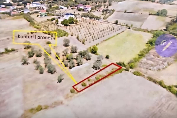 Truall ose Toke ne Tirane - 29,000 Euro