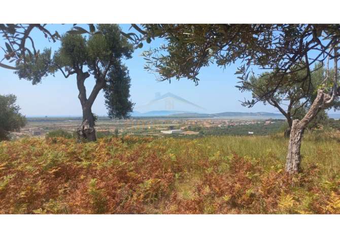 Truall ose Toke  ne Vlore - 324,000 Euro