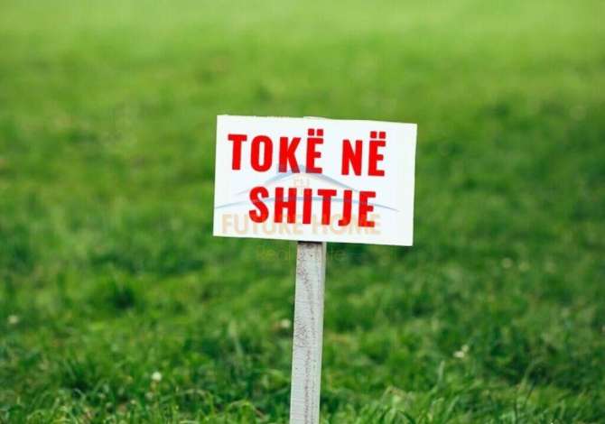 Truall ose Toke  ne Vlore - 297,000 Euro