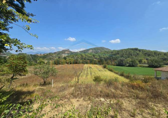 Truall ose Toke ne Tirane - 120,000 Euro