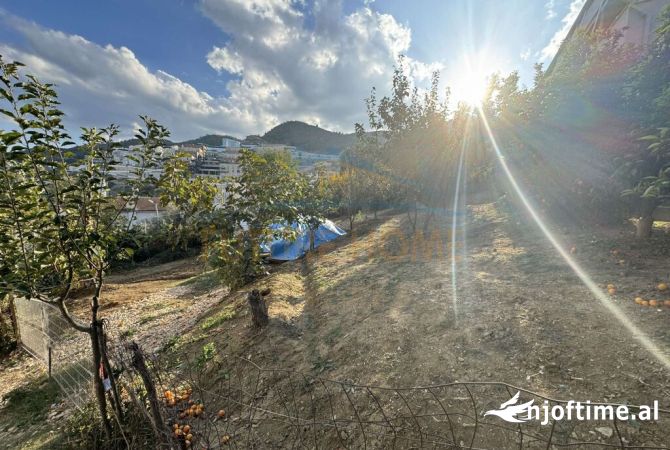 Terreno in vendita  a Tirana - 250,000 Euro