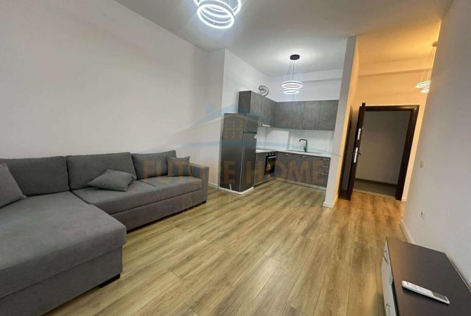 Shtepi me qera Apartament ne Tirane, 1+1, Mobilimi E mobiluar, Pagesa 370  Euro.