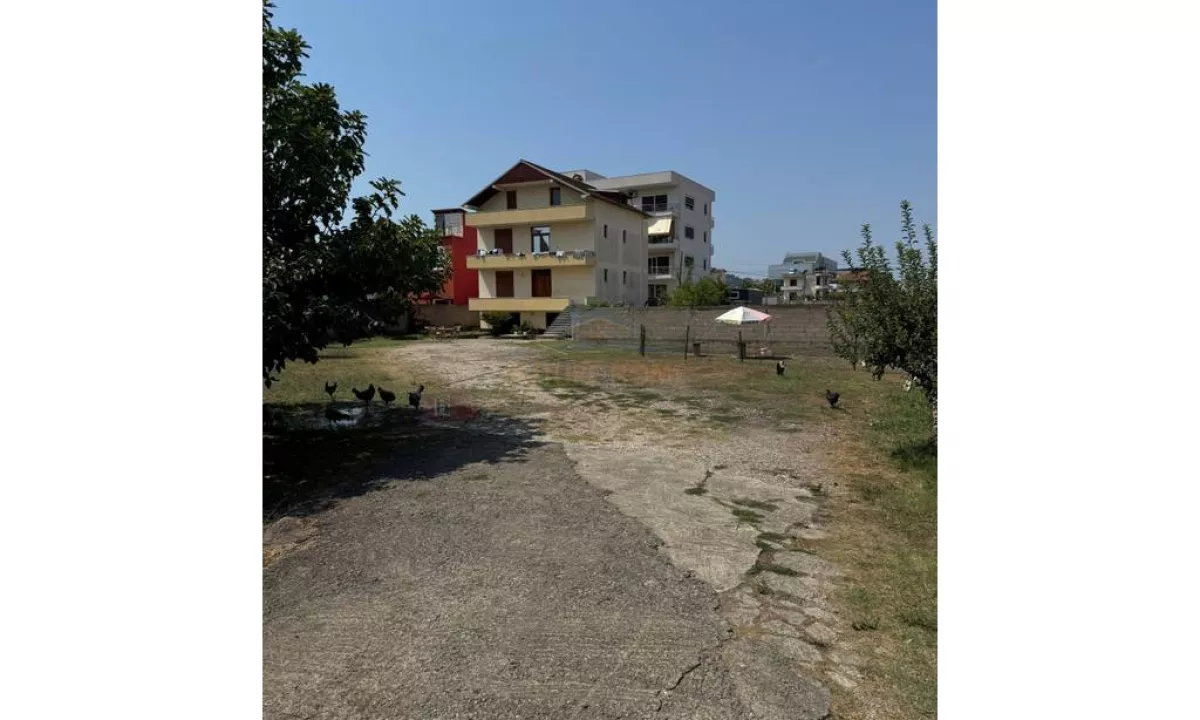 Foto 1