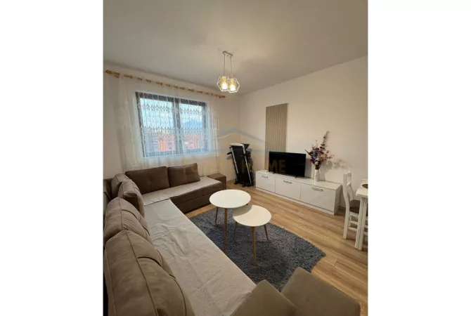 Shtepi me qera Apartament ne Tirane, 1+1, Mobilimi E mobiluar, Pagesa 450  Euro.