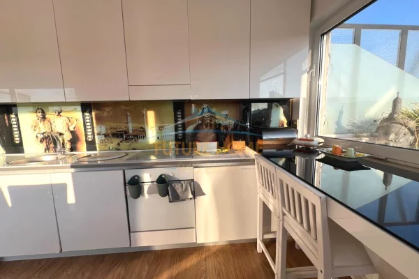 Shtepi ne shitje 1+1 ne Tirane - 440,000 Euro