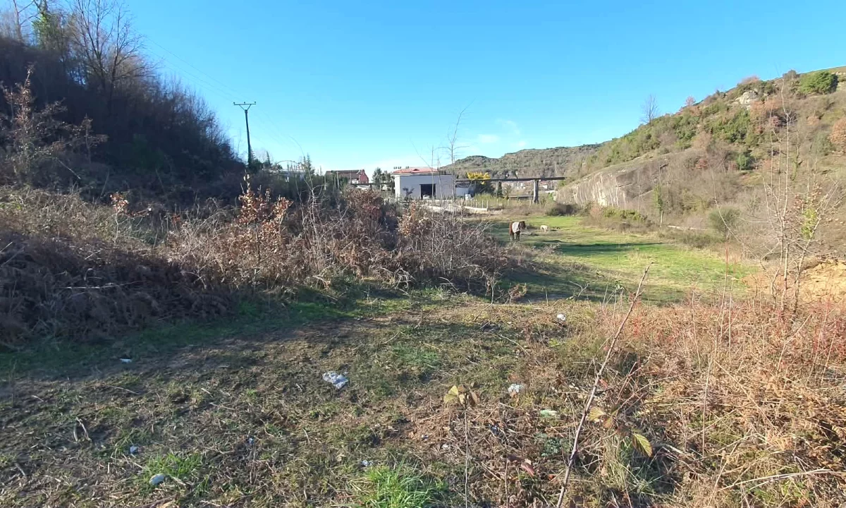 Toke ne shitje ne Ibe e Poshtme, Tirane