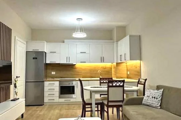 House for Rent 1+1 in Tirana - 60,000 Leke