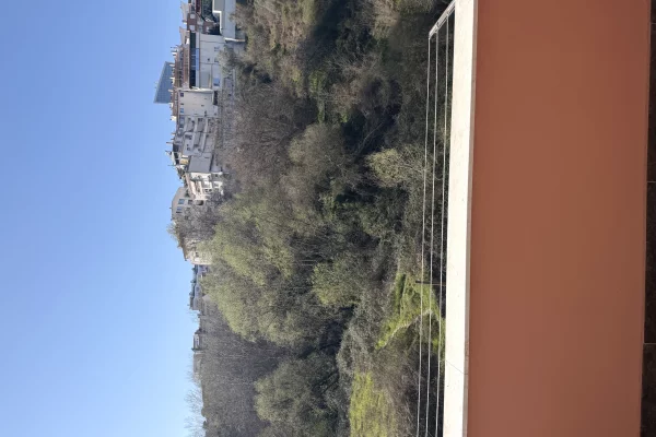 Appartamento in affitto a Tirana 1+1, Arredato