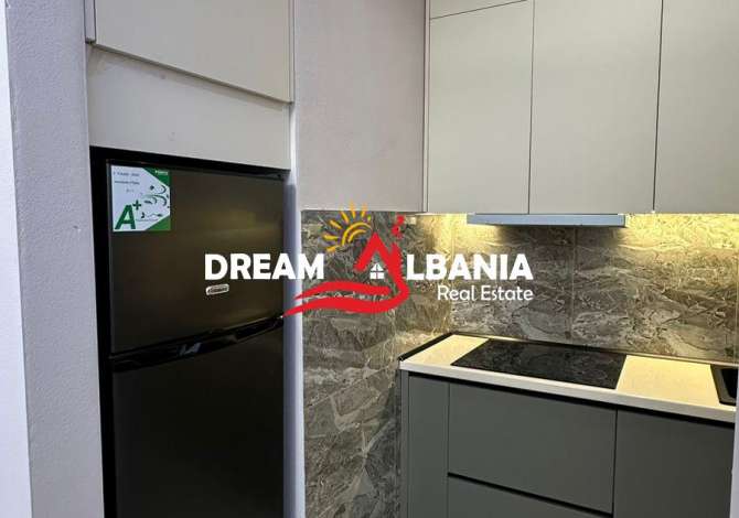 Shtepi me qera Apartament ne Tirane, 1+1, Mobilimi E mobiluar, Pagesa 500  Euro.