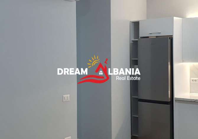 Ambient biznesi me qera 3+1 ne Tirane - 550 Euro