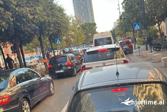 Ambient biznesi me qera 3+1 ne Tirane - 600 Euro