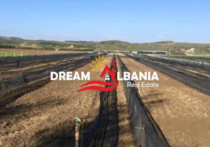 Ambient biznesi ne shitje 6+1 ne Kavaje - 28,000 Euro