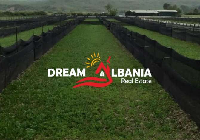 Ambient biznesi ne shitje 6+1 ne Kavaje - 28,000 Euro