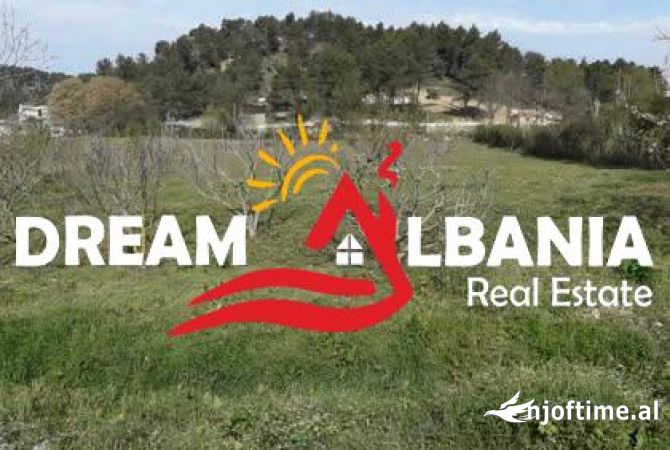 Truall ose Toke  ne Tirane - 160,000 Euro