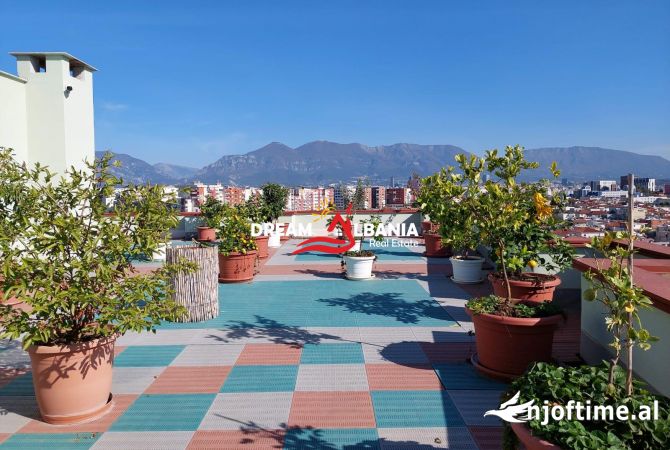 Ambient biznesi me qera 1+1 ne Tirane - 1,500 Euro