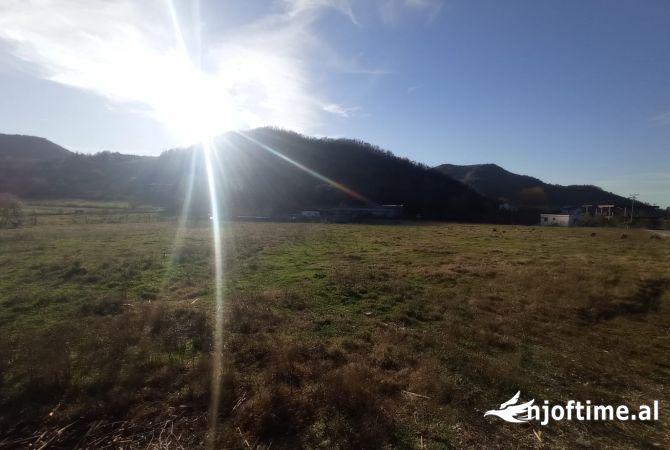 Terreno in vendita  a Tirana - 375,000 Euro