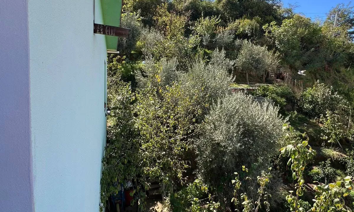 Foto 10