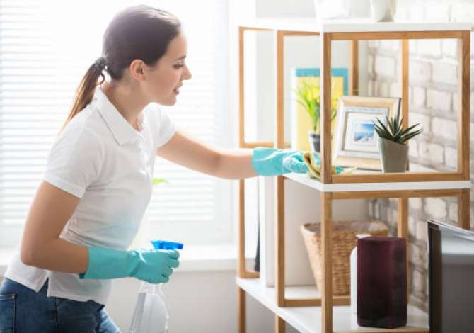 Job Offers Kujdestare/Pastruese per shtepi