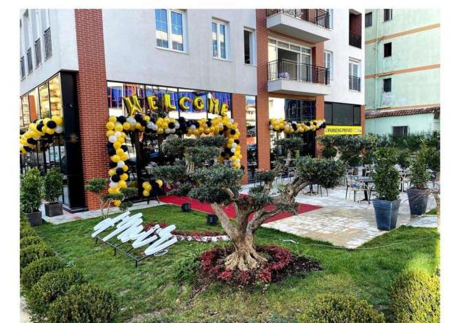 Njoftime Pune ne Tirane, Profesioni Banakier/e, Kamarier/e , , Pagesa 40,000  Leke.