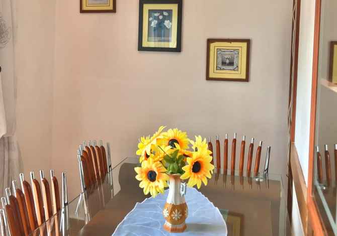  for rent in Tirana 1+1, Furnished