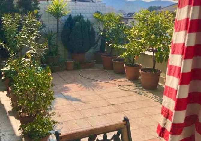Casa in affitto 1+1 a Tirana - 350 Euro